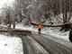 Plodio: la neve fa cadere rami e piante, la Protezione civile libera le strade (FOTO e VIDEO)