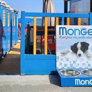 Alassio, un'altra estate sempre più Pet Friendly: anche nel 2026 prosegue la campagna di sensibilizzazione per gli amici a quattro zampe
