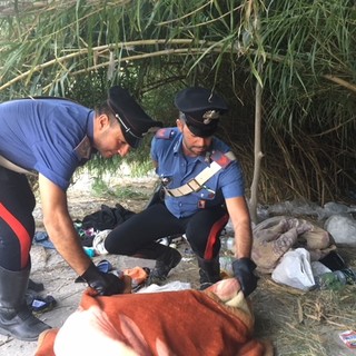 Scovato un accampamento abusivo nel letto del Centa, scatta il blitz dei carabinieri. Due arresti