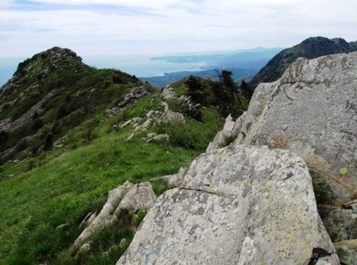 Castellazzi: "Dalla Regione Liguria nessuna risposta alle critiche di Enti e Associazioni per le nuove prospezione minerarie nel Parco del Beigua" Castellazzi: "Dalla Regione Liguria nessuna risposta alle critiche di Enti e Associazioni per le nuove prospezione minerarie nel Parco del Beigua"