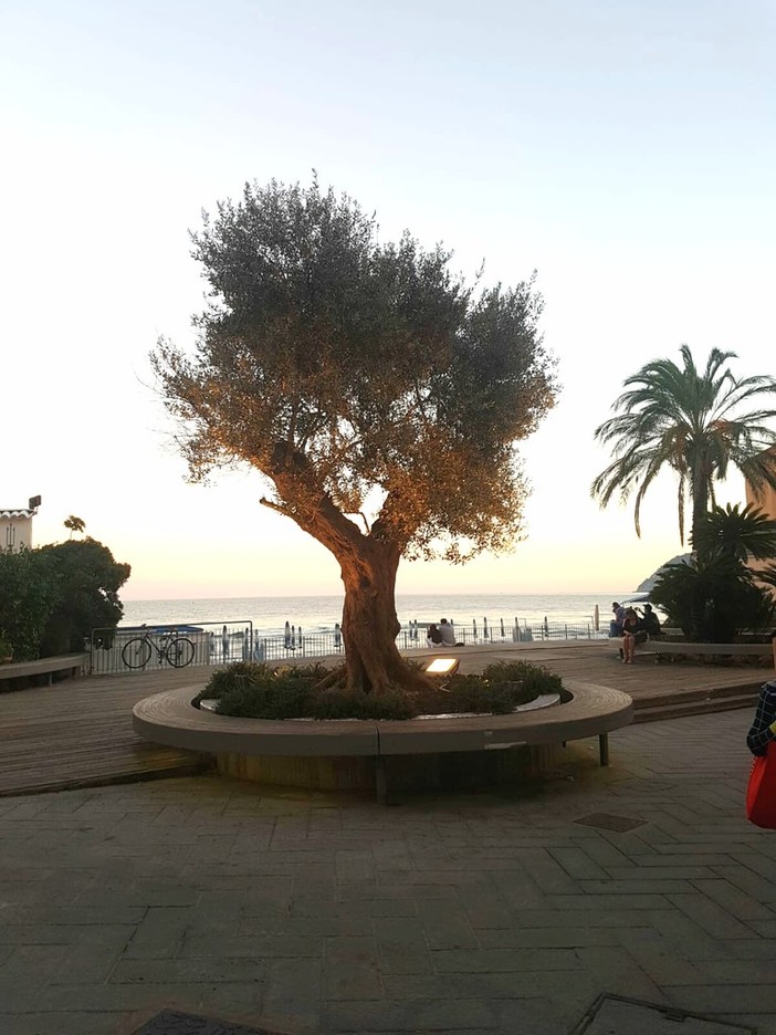 Alassio, confronto di idee per piazza Airaldi Durante