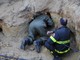 Salvato il cane intrappolato in una buca a Campochiesa d'Albenga (foto)