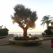 In arrivo ad Alassio un fine settimana ricco di eventi tra cultura, musica, arte e benessere In arrivo ad Alassio un fine settimana ricco di eventi tra cultura, musica, arte e benessere