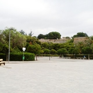 Un ulivo per ricordare i savonesi deceduti per il Covid, il sindaco Caprioglio: "Al lavoro per uno spazio nei giardini del Prolungamento"