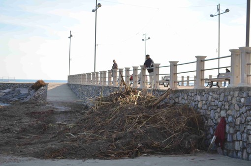 Andora, iniziata la pulizia delle spiagge dal materiale spiaggiato