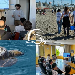 "Tartarughe Marine… sulla Spiaggia": parte la ricerca di nidi e tracce nel ponente ligure "Tartarughe Marine… sulla Spiaggia": parte la ricerca di nidi e tracce nel ponente ligure
