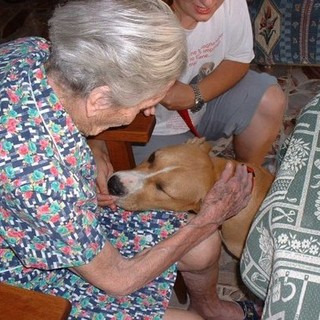 Finale, un successo il progetto "Attiviamoci con la Pet Therapy"