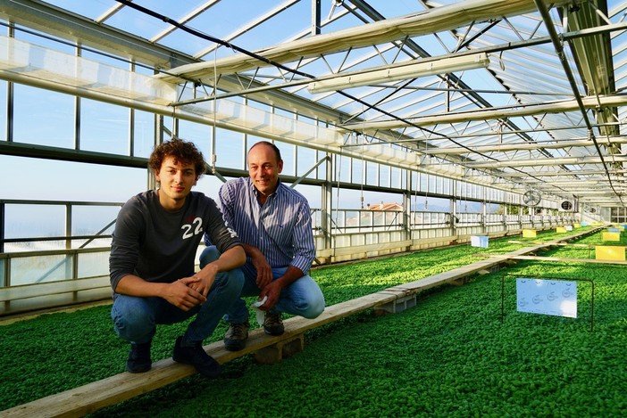 Celle, il Prefetto di Savona visita l'azienda "Calcagno Paolo società Agricola"