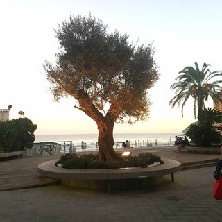 In arrivo ad Alassio un fine settimana ricco di eventi tra cultura, musica, arte e benessere