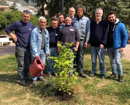 Pietra, una magnolia in memoria di Mauro Peruzzo (FOTO) Pietra, una magnolia in memoria di Mauro Peruzzo (FOTO)