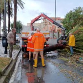 Albenga: tromba d’aria, grandine e piogge violente. Il sindaco: “Faremo il possibile per ottenere risarcimenti per chi è stato danneggiato” (FOTO)