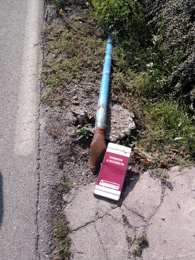 Cairo Montenotte, crolla la palina in Corso Marconi: confusione tra i cittadini Cairo Montenotte, crolla la palina in Corso Marconi: confusione tra i cittadini