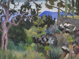 Fondo Fotografico Fondazione