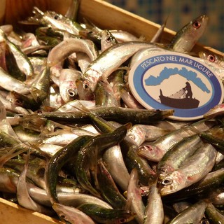 Immagini dell'iniziativa