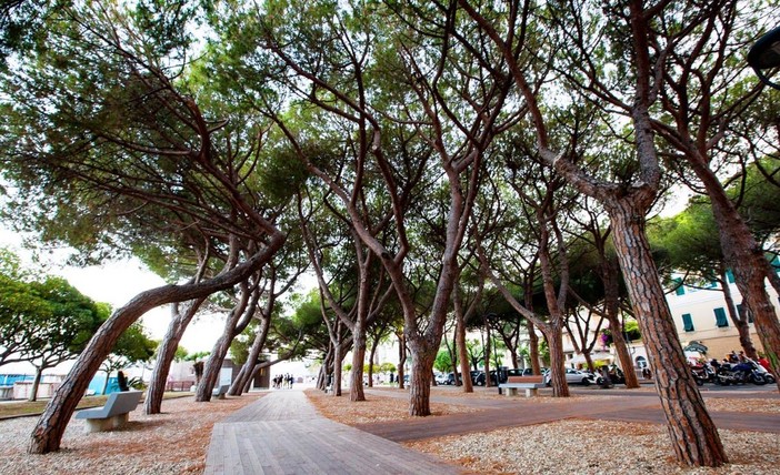 Ceriale in prima linea nella tutela del verde pubblico