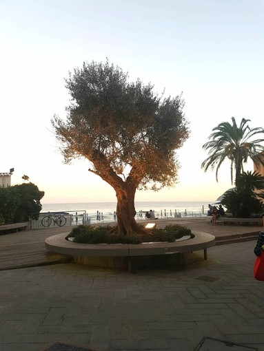 Alassio, confronto di idee per piazza Airaldi Durante