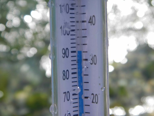 La ASL Savonese attiva un servizio di “Custodi sociali” per fronteggiare l’emergenza caldo La ASL Savonese attiva un servizio di “Custodi sociali” per fronteggiare l’emergenza caldo