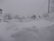 Quiliano: situazione insostenibile causa neve in frazione Roviasca Quiliano: situazione insostenibile causa neve in frazione Roviasca