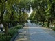 Savona, riqualificazione dei giardini del prolungamento: affidati i lavori. Cantiere al via tra fine agosto e inizio settembre Savona, riqualificazione dei giardini del prolungamento: affidati i lavori. Cantiere al via tra fine agosto e inizio settembre