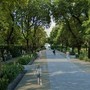 Savona, riqualificazione dei giardini del prolungamento: affidati i lavori. Cantiere al via tra fine agosto e inizio settembre