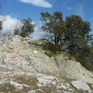 Escursione "ad anello" sulle alture di Vado Ligure