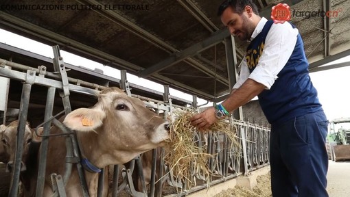 Agricoltura: "Votare Lega e scrivere Racca vuol dire portare le istanze delle nostre aziende agricole a Bruxelles" (VIDEO) Agricoltura: "Votare Lega e scrivere Racca vuol dire portare le istanze delle nostre aziende agricole a Bruxelles" (VIDEO)