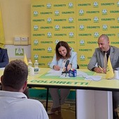 Costituita la prima consulta regionale della pesca in Liguria