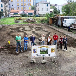 Savona, il progetto di riqualificazione degli Orti Folconi parte con le rose