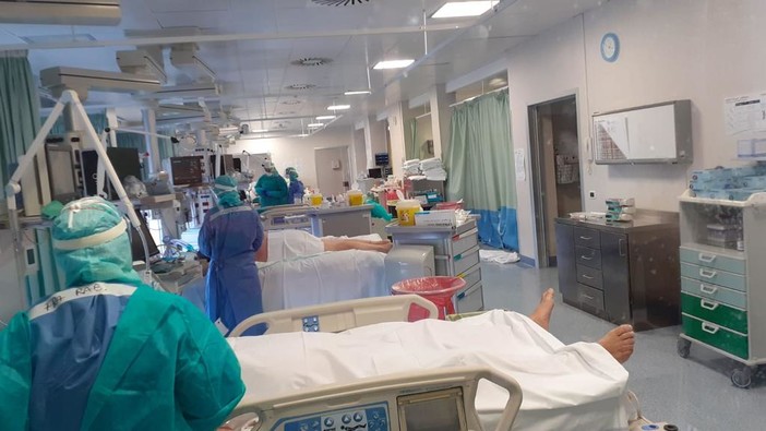 Mancano anestesisti e l'Asl li cerca a partita Iva, anche in pensione, pagandoli cento euro lordi l'ora Mancano anestesisti e l'Asl li cerca a partita Iva, anche in pensione, pagandoli cento euro lordi l'ora