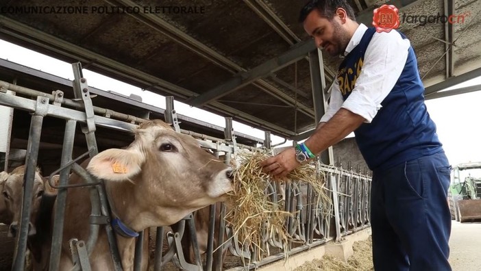 Agricoltura: "Votare Lega e scrivere Racca vuol dire portare le istanze delle nostre aziende agricole a Bruxelles" (VIDEO) Agricoltura: "Votare Lega e scrivere Racca vuol dire portare le istanze delle nostre aziende agricole a Bruxelles" (VIDEO)