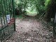 Ceriale, “Piano per la riserva naturale del Rio Torsero”: c’è l’ok del Consiglio comunale Ceriale, “Piano per la riserva naturale del Rio Torsero”: c’è l’ok del Consiglio comunale