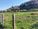 Rigassificatore, Quiliano tiene il punto: parere negativo all'istanza di pronuncia di compatibilità ambientale