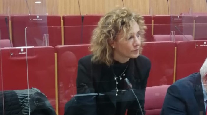 Alluvione 2020, soddisfazione dalla Lega per i ristori alle imprese. Riolfo: "Finalmente un sospiro di sollievo"