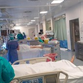 Mancano anestesisti e l'Asl li cerca a partita Iva, anche in pensione, pagandoli cento euro lordi l'ora Mancano anestesisti e l'Asl li cerca a partita Iva, anche in pensione, pagandoli cento euro lordi l'ora