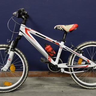 Rubano tre biciclette di valore: due denunciati dai Carabinieri di Millesimo