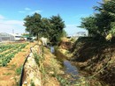 Albenga riceve 5 milioni di euro per la messa in sicurezza di Rio Carenda Albenga riceve 5 milioni di euro per la messa in sicurezza di Rio Carenda 
