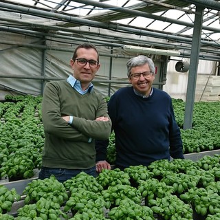 Albenga, l’agrotecnico Gian Guido Restieri: "Con Calleri Sindaco per rilanciare l’agricoltura della piana"