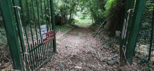 Ceriale, “Piano per la riserva naturale del Rio Torsero”: c’è l’ok del Consiglio comunale Ceriale, “Piano per la riserva naturale del Rio Torsero”: c’è l’ok del Consiglio comunale