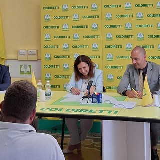 Costituita la prima consulta regionale della pesca in Liguria Costituita la prima consulta regionale della pesca in Liguria