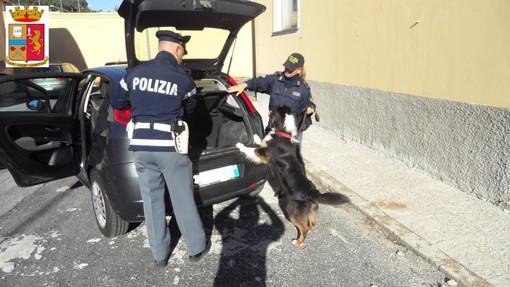 Savona, controlli antidroga nelle scuole: 15enne trovato in possesso di uno spinello Savona, controlli antidroga nelle scuole: 15enne trovato in possesso di uno spinello