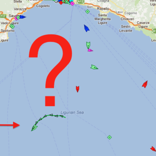 Che fa la "nave del petcoke" partita da Savona quasi ferma in mezzo al santuario dei cetacei?