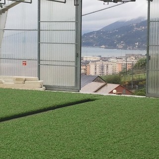 Il pesto genovese piatto più amato dai turisti stranieri