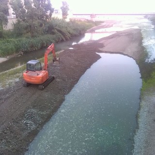Savona, oasi protetta a rischio: intervento del comune a favore della fauna del Letimbro