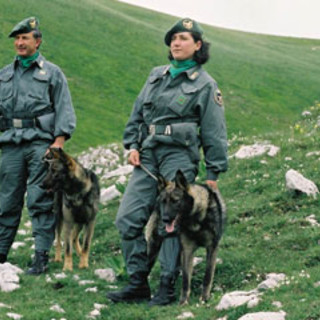 Dego: ritrovata l'anziana scomparsa ieri pomeriggio in località Porri