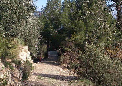 Andora: riapre dopo il recupero conservativo l'antica strada per Rollo