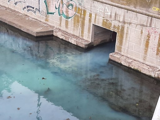 Savona, sversamento di una sostanza blu alla foce del Letimbro: Arpal al lavoro (FOTO e VIDEO) Savona, sversamento di una sostanza blu alla foce del Letimbro: Arpal al lavoro (FOTO e VIDEO)