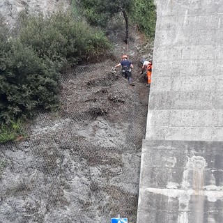 Savona, i rocciatori al lavoro per la frana in Lungomare Matteotti (FOTO)