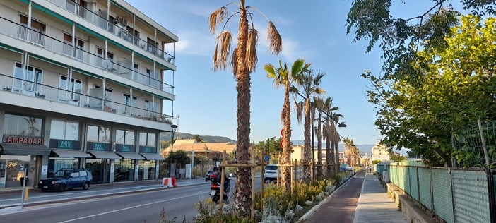 Savona, tentano di rubarle la borsa sull'auto mentre era ferma al semaforo ma aveva le portiere bloccate Savona, tentano di rubarle la borsa sull'auto mentre era ferma al semaforo ma aveva le portiere bloccate