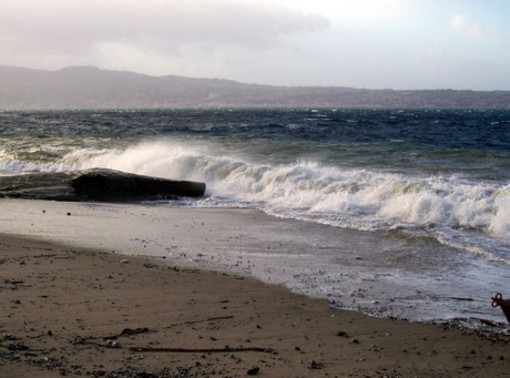 Savona: 95 mila euro per sistemare la spiaggia libera Eroe dei due mondi Savona: 95 mila euro per sistemare la spiaggia libera Eroe dei due mondi