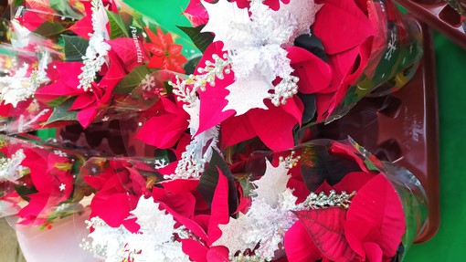 Albenga, al via la nuova campagna natalizia di ANT "Stelle della solidarietà"